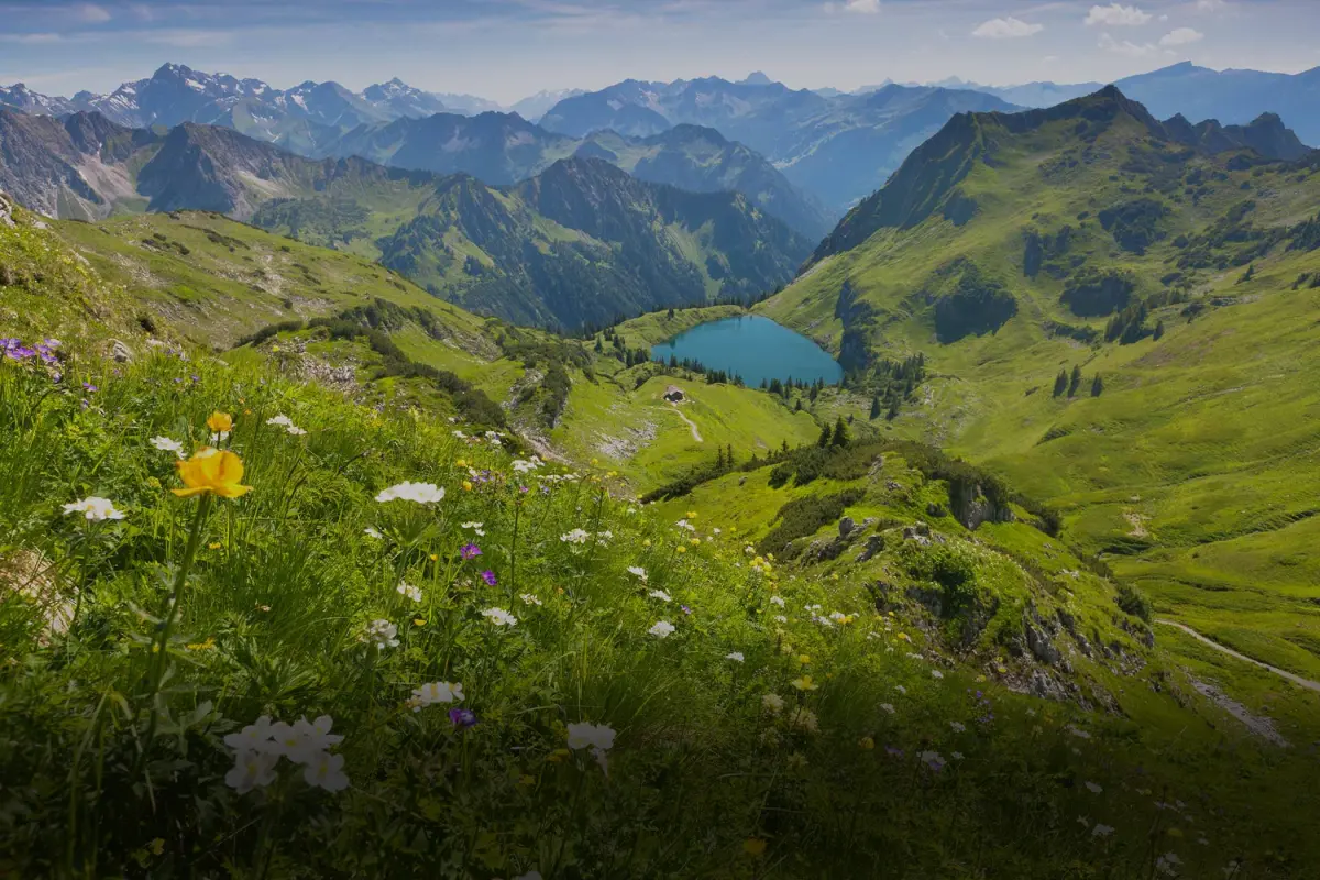 Blühende Wiesen bedecken einen Hang mit Blick auf einen blauen Bergsee und Alpengipfel.