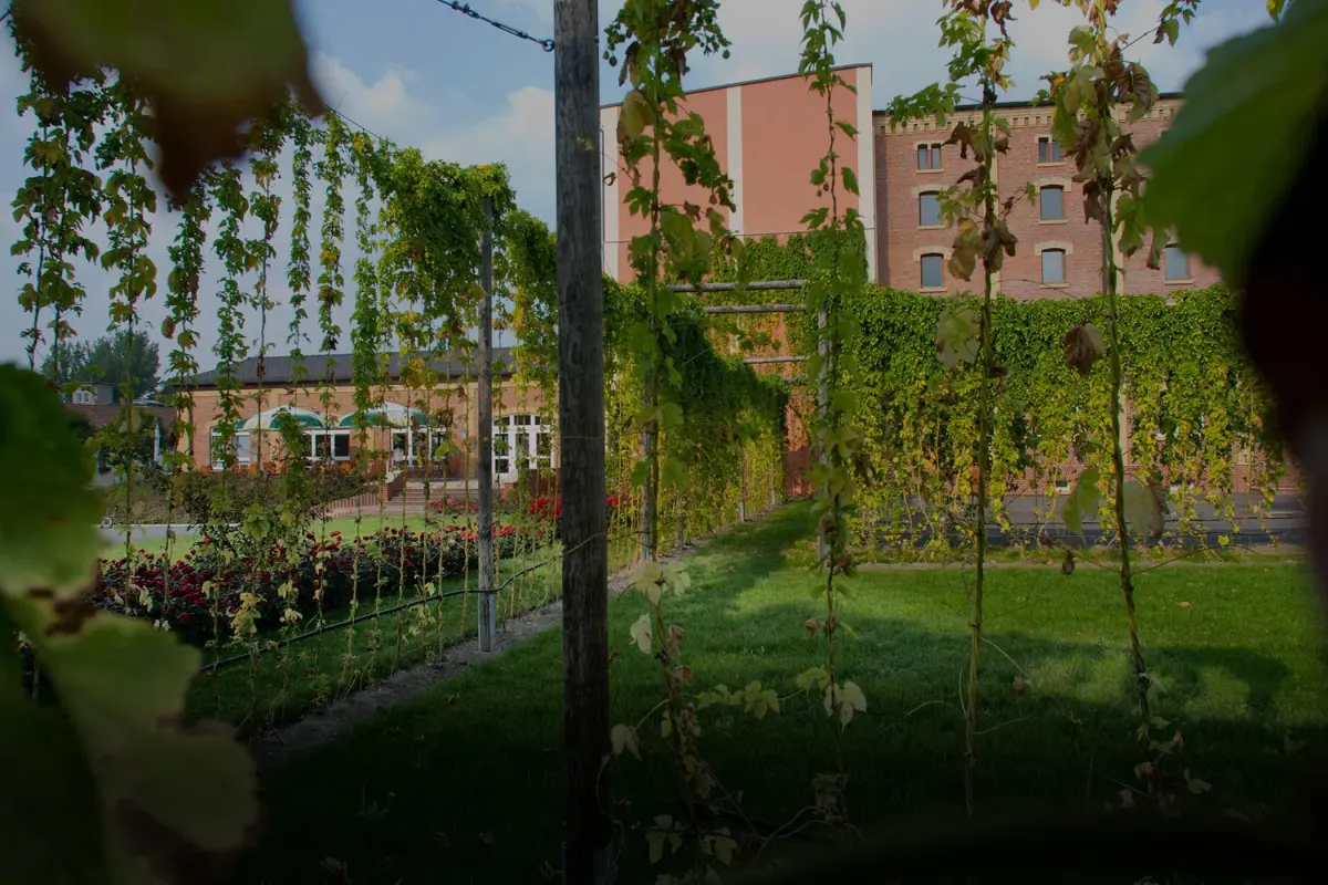 Ein gepflegter Garten mit Reben und Blumen vor einem historischen Gebäude.