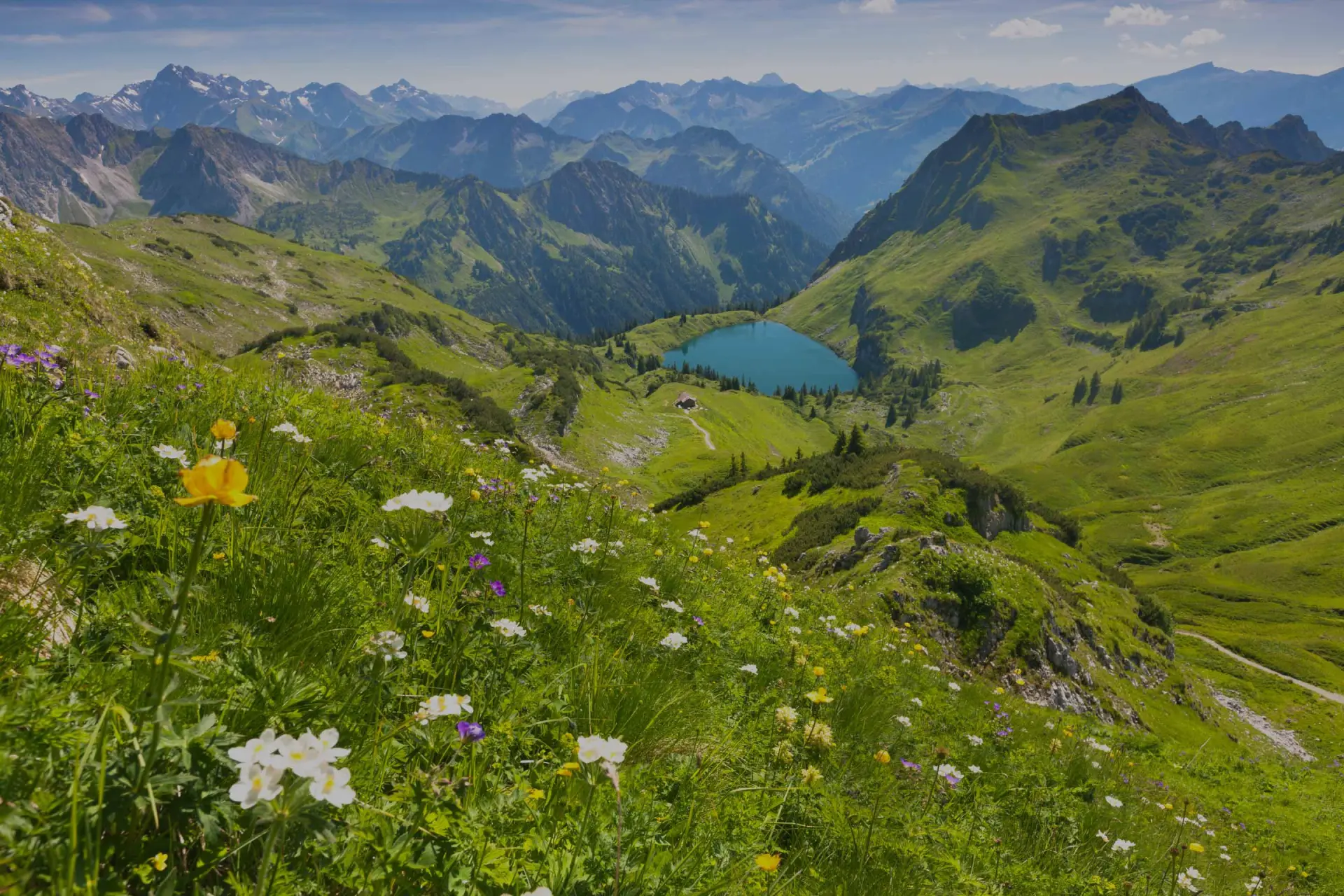 Blumen wachsen auf einer Bergwiese mit Blick auf einen Bergsee. Hohe Bergketten erstrecken sich bis zum Horizont.